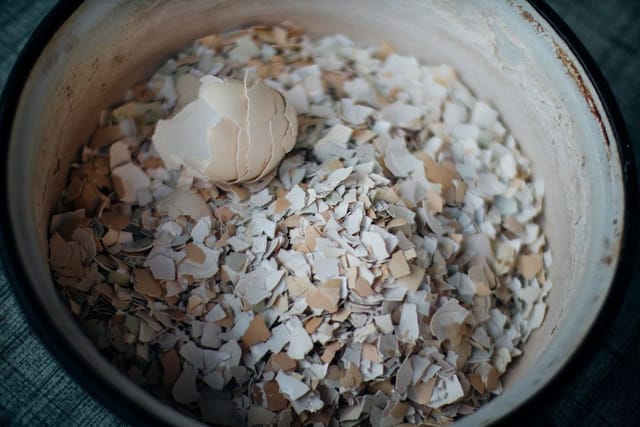 A bowl full of crushed eggshells.