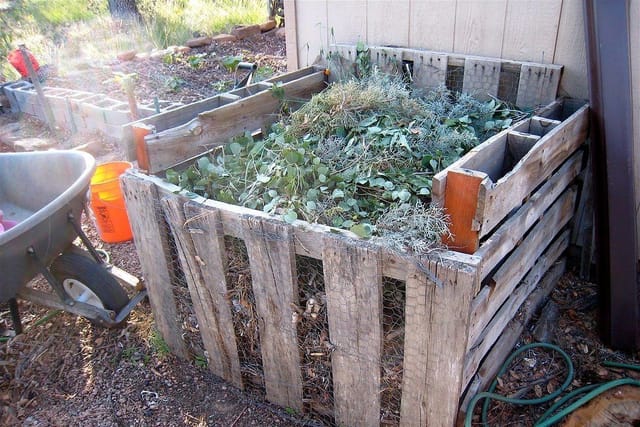 A wooden pallet compost bin filled with garden waste, with a wheelbarrow beside it.